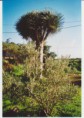 /album/fotogaleria-campodelosbaldiosmundorural/hoy-jpg/